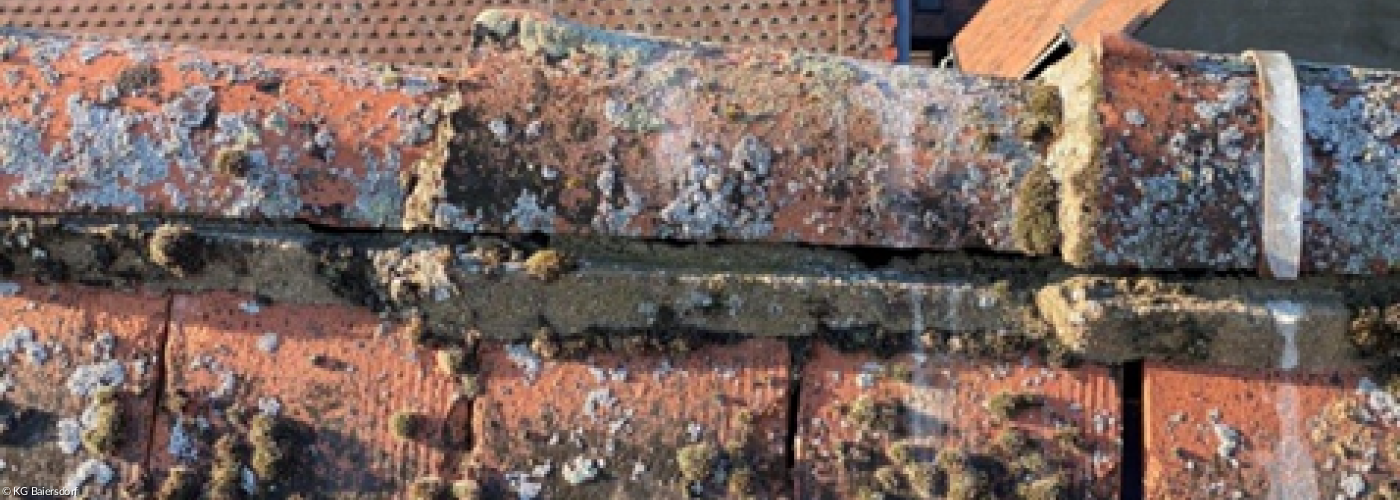 Schadhafte Firstziegel St. Nikolaus