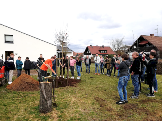 Ein Baum für das Stockflethhaus (1)