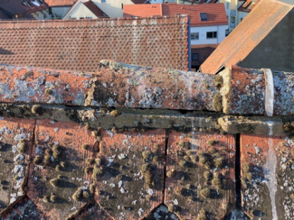Schadhafte Firstziegel St. Nikolaus