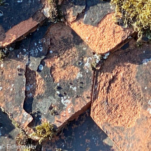 defekte Ziegel auf dem Kirchendach von St. Nikolaus