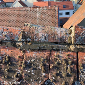 Schadhafte Firstziegel St. Nikolaus